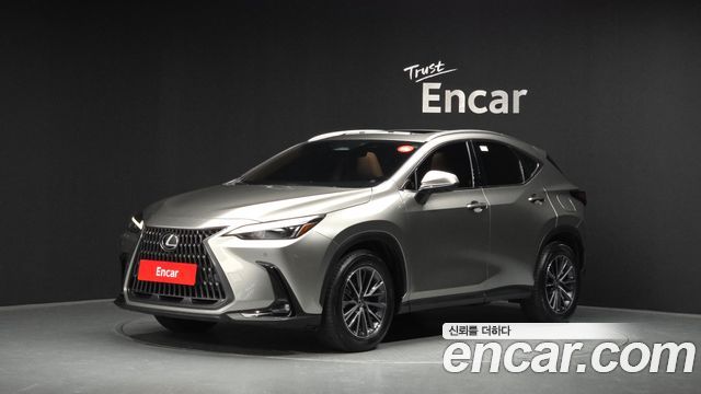 Lexus NX 2023