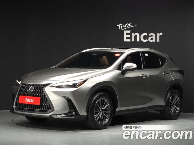 Lexus NX 2023