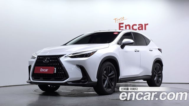 Lexus NX 2024