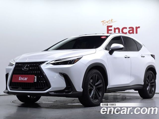 Lexus NX 2024