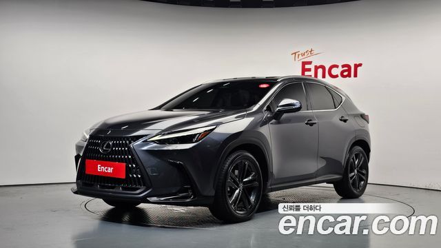 Lexus NX 2023