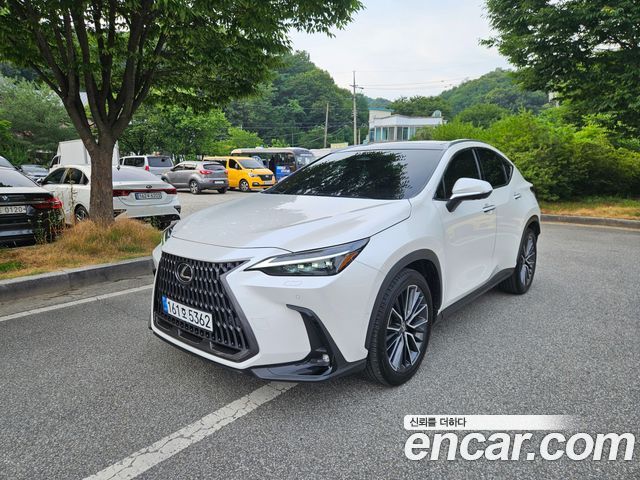 Lexus NX 2024