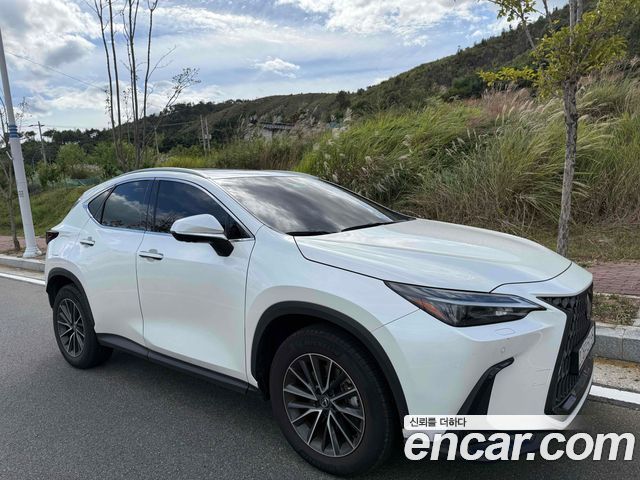 Lexus NX 2024