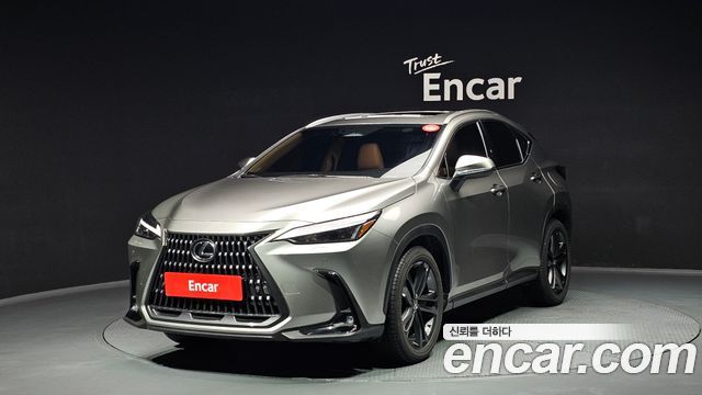 Lexus NX 2024