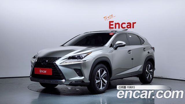 Lexus NX 2019