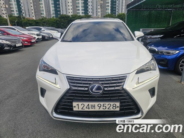Lexus NX 2021
