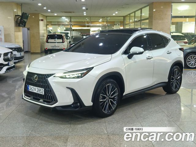 Lexus NX 2024