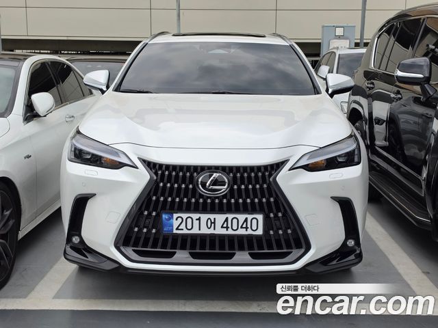 Lexus NX 2025