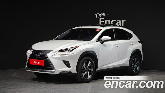 Lexus NX 2019