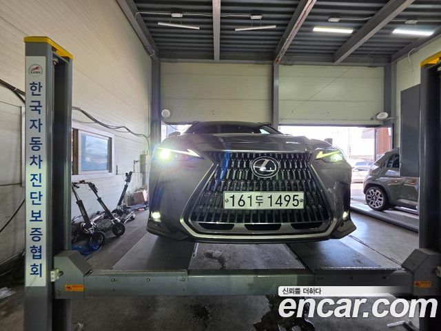 Lexus NX 2022