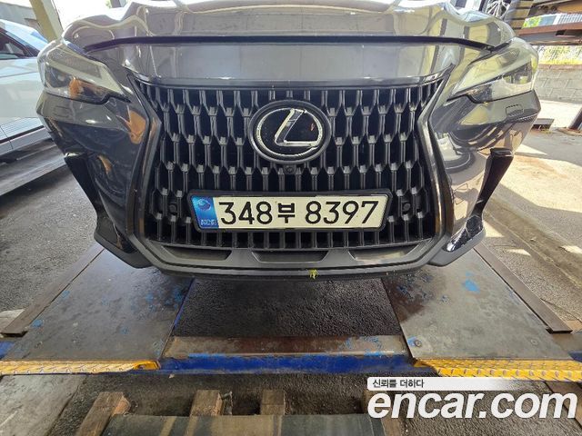 Lexus NX 2023