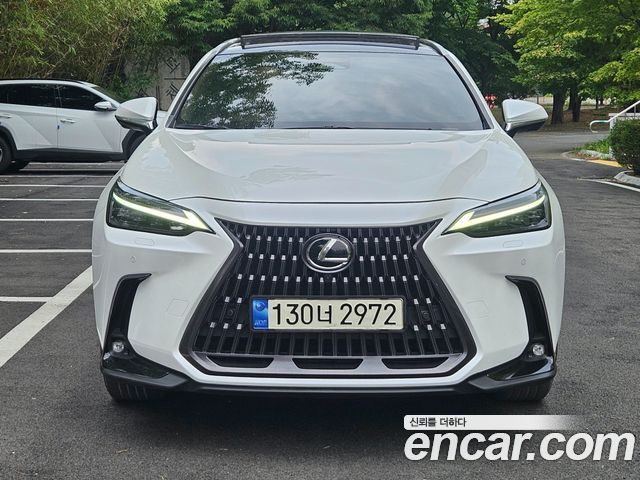 Lexus NX 2023