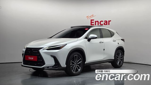 Lexus NX 2024