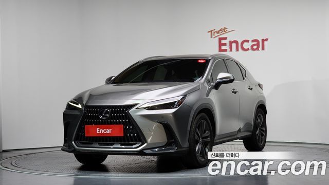 Lexus NX 2023