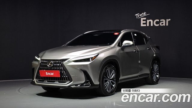 Lexus NX 2025