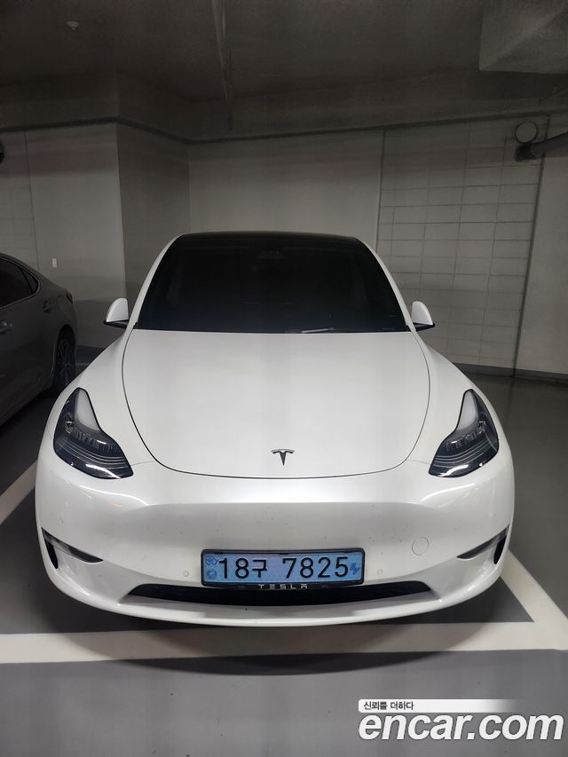 Tesla Model Y 2021