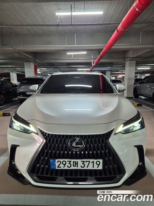 Lexus NX 2025