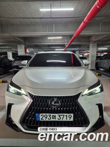Lexus NX 2025
