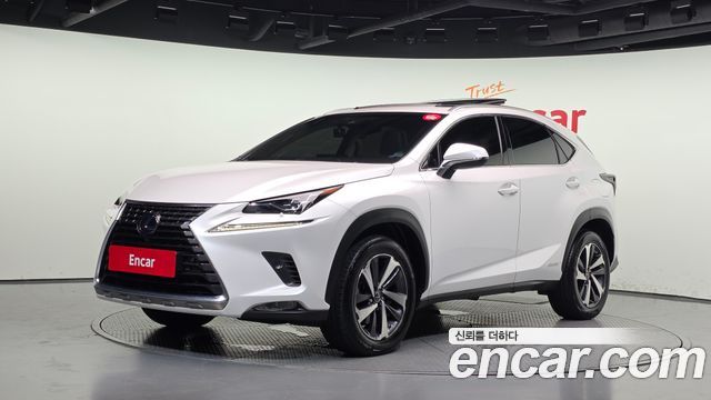 Lexus NX 2019