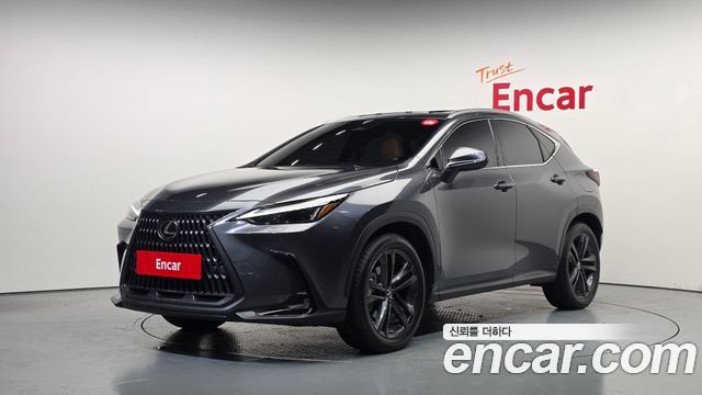 Lexus NX 2025