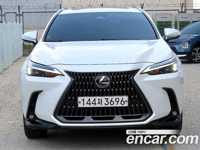 Lexus NX 2023
