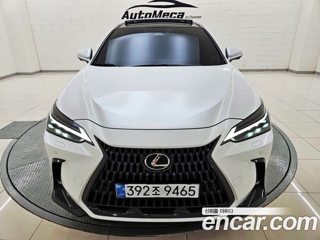 Lexus NX 2025