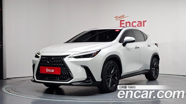 Lexus NX 2023
