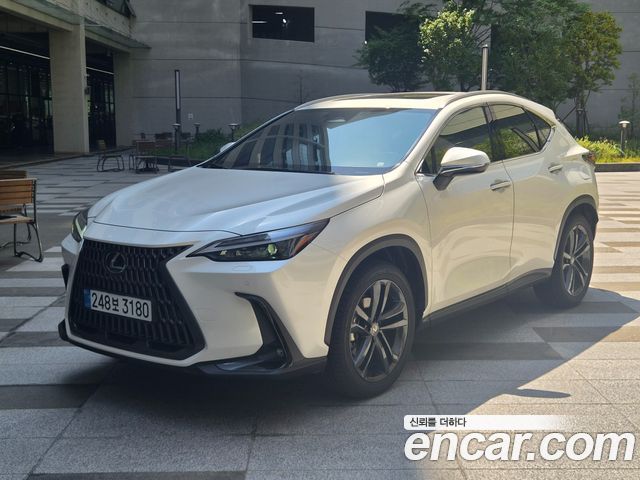Lexus NX 2025