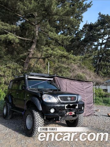 Hyundai Terracan 2002