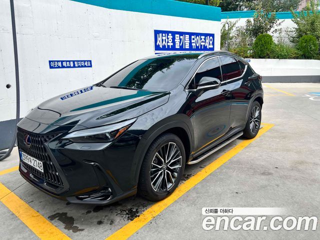 Lexus NX 2025
