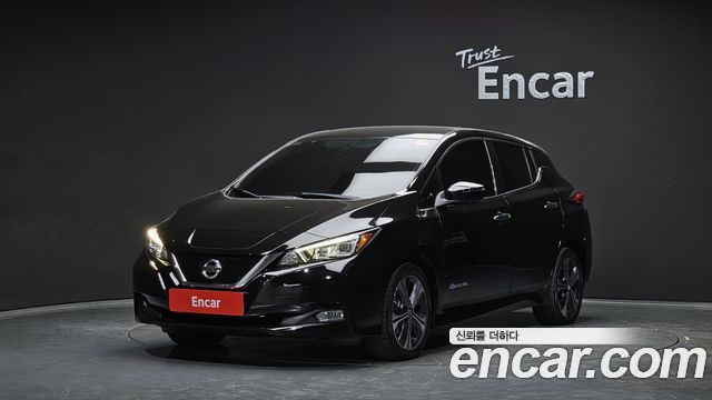 Nissan Leaf 2019